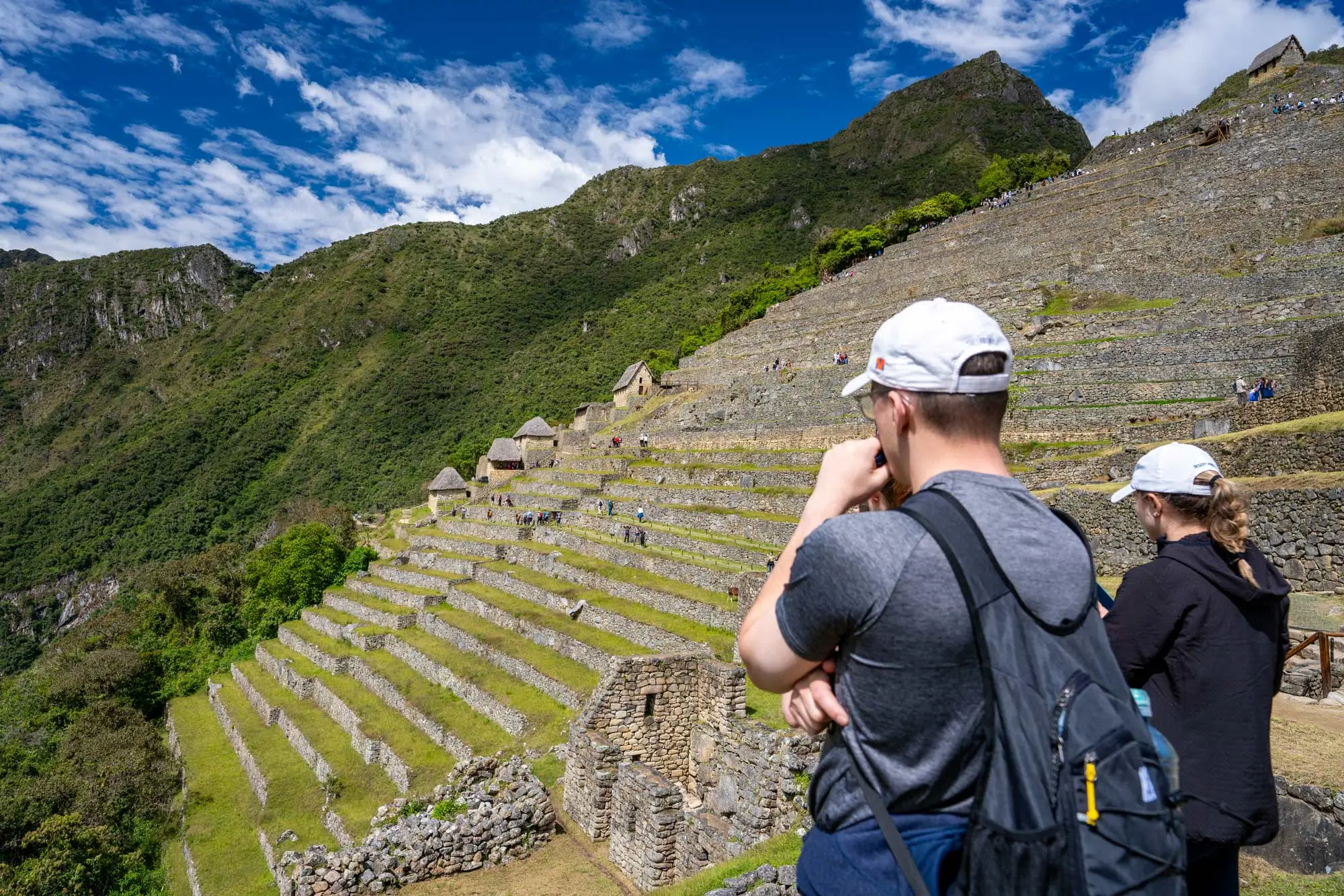 circuit 3b premium upper terraces