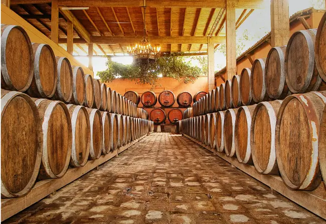 ica bodega pisco peru